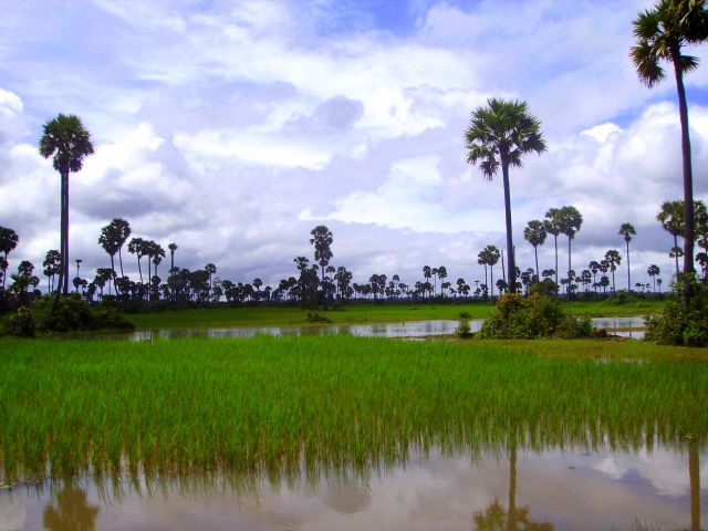 Zdjęcia: okolice Siem Reap, okolice Siem Reap, czasami słońce, czasami deszcz...., KAMBODżA Zdjęcia: okolice Siem Reap, okolice Siem Reap, czasami słońce, czasami deszcz...., KAMBODżA