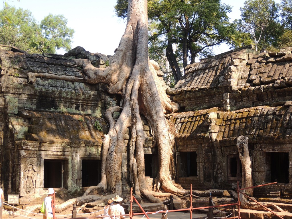 Zdjęcia: Angkor, -Siem Reap, Angkor, KAMBODżA Zdjęcia: Angkor, -Siem Reap, Angkor, KAMBODżA