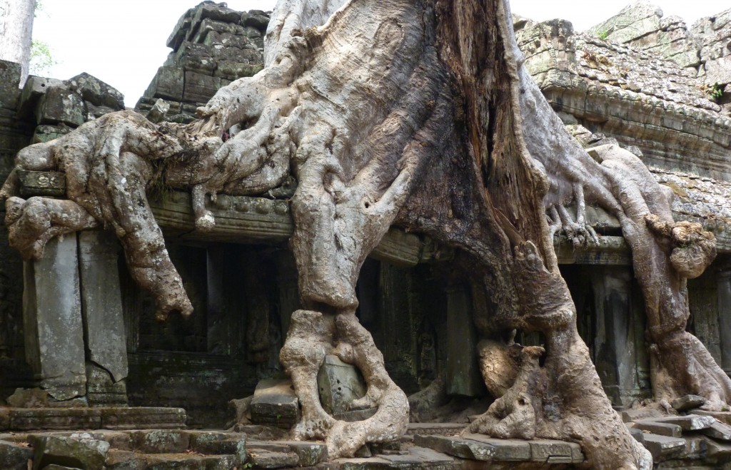 Zdjęcia: Angkor, Siem Reap, Wokół Angkor Wat, KAMBODżA Zdjęcia: Angkor, Siem Reap, Wokół Angkor Wat, KAMBODżA