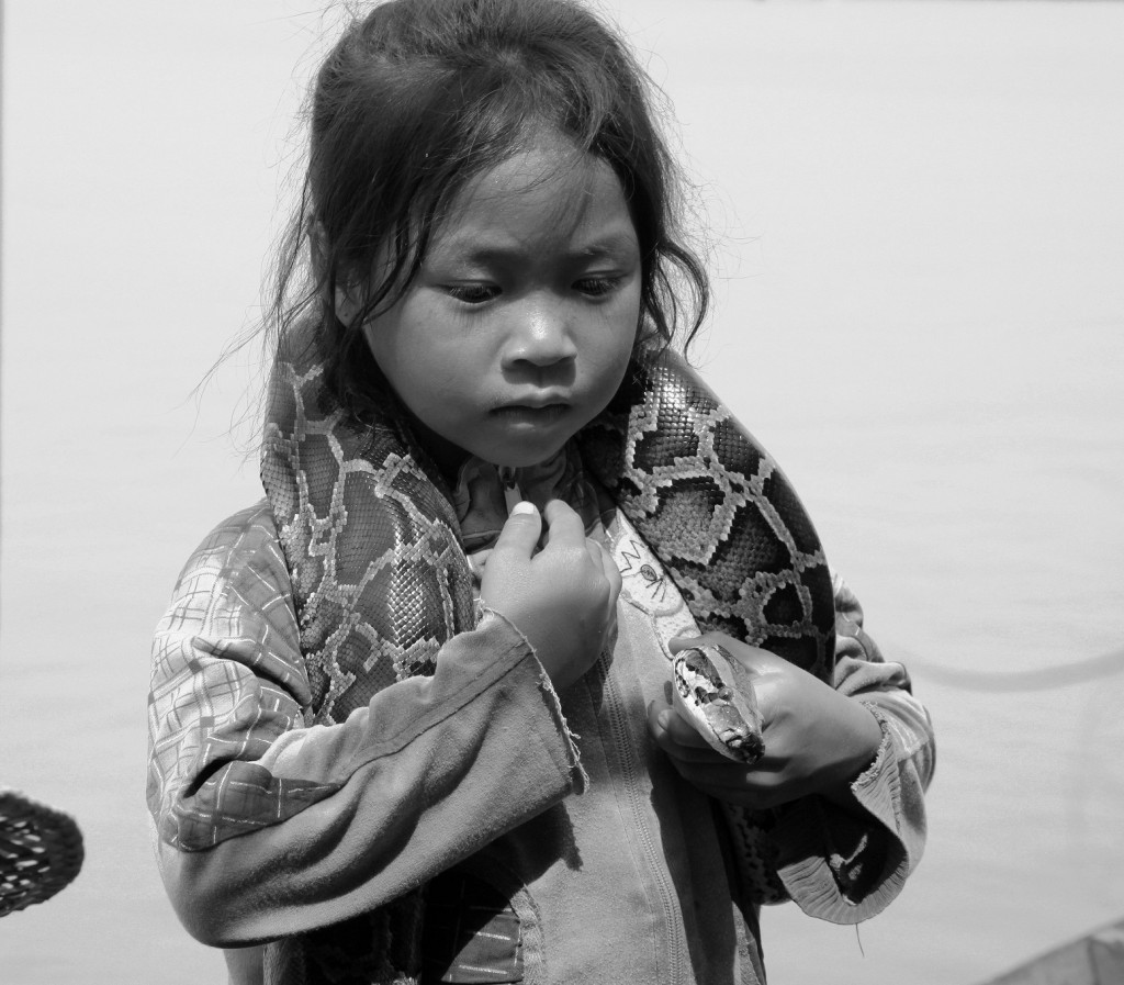 Zdjęcia: Phnom Penh, Kambodża południowa, Wąż, KAMBODżA Zdjęcia: Phnom Penh, Kambodża południowa, Wąż, KAMBODżA