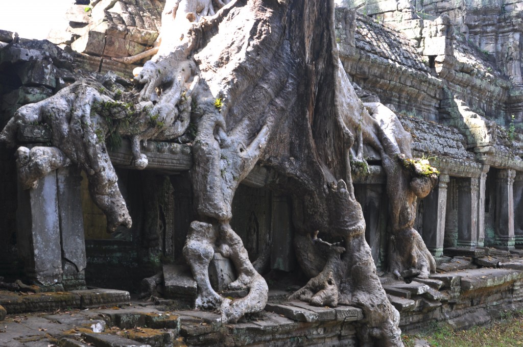 Zdjęcia: Angkor, okolice Siem Reap, Zarastająca świątynia 2, KAMBODżA Zdjęcia: Angkor, okolice Siem Reap, Zarastająca świątynia 2, KAMBODżA
