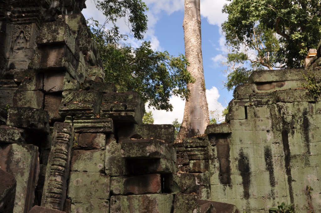 Zdjęcia: Angkor, okolice Siem Reap, Zarastająca świątynia 3, KAMBODżA Zdjęcia: Angkor, okolice Siem Reap, Zarastająca świątynia 3, KAMBODżA