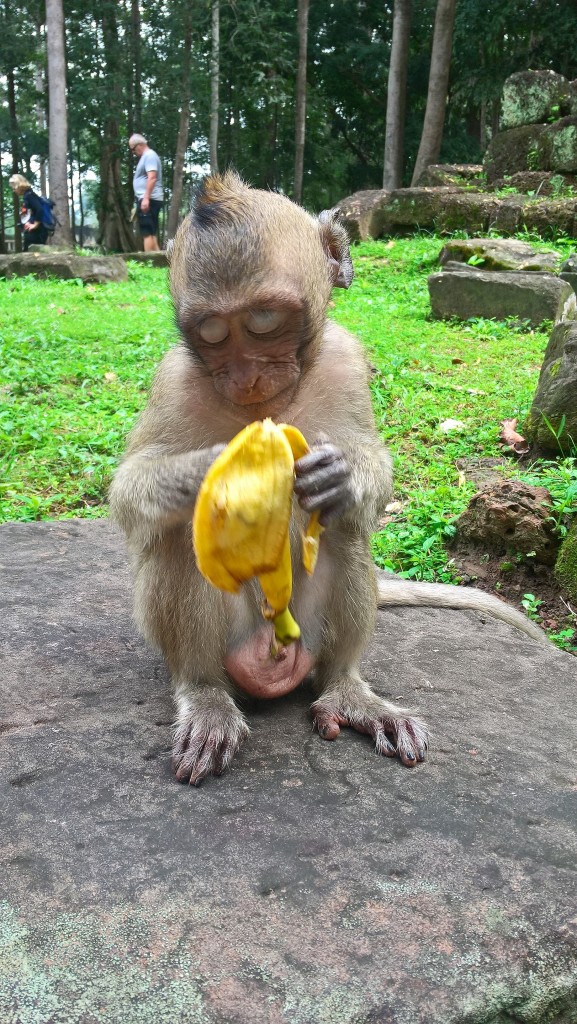 Zdjęcia: Angkor, Siem Reap, Zawstydzona, KAMBODżA Zdjęcia: Angkor, Siem Reap, Zawstydzona, KAMBODżA
