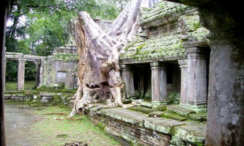 Zdjęcie KAMBODżA / okolice Siem Reap / w Ta Prohm /  w ofierze światyni - czasami mury się opierają, a drzewo usycha
