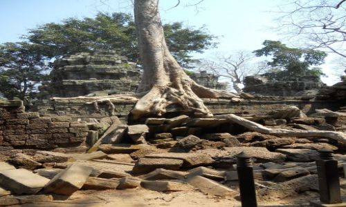 Zdjęcie KAMBODżA / - / Angkor   / Kambodża