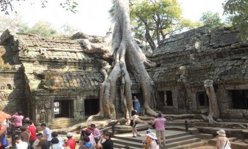 Zdjęcie KAMBODżA / - / Angkor   / Kambodża