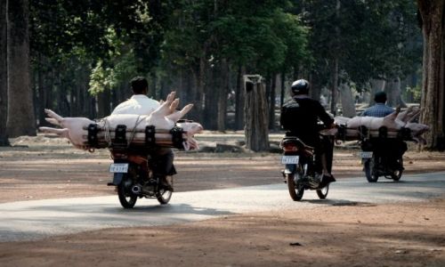 Zdjecie KAMBODA / - / Angkor Wat / wycieczka
