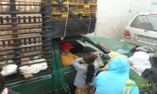 Zdjęcie KAMBODżA / w drodze do phnom penh / ... / handelek