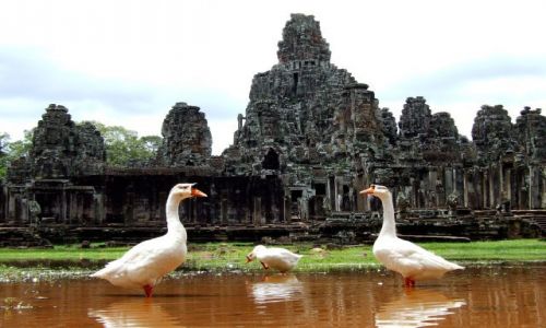 Zdjecie KAMBODA / Siem Reap / Kambodza / Angkor Wat