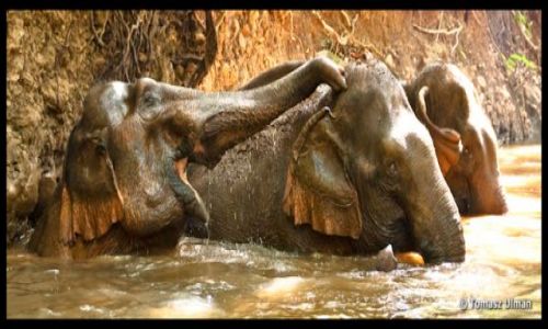 KAMBODA / Mondulkiri / EVP in Sen Monorom / Zabawa