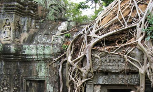 Zdjęcie KAMBODżA / Siem Reap /  Ta Prohm / W uścisku świata roślin