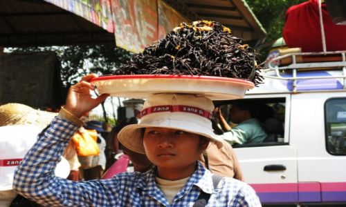 Zdjecie KAMBODA / Phnom Penh / W drodze  / Handlowy parking