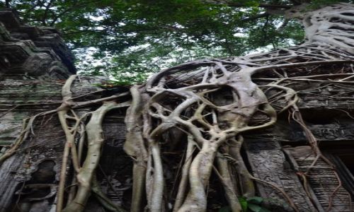 Zdjęcie KAMBODżA / Siem Reap / Angkor  / w krainie Khmerów...