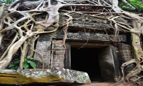Zdjecie KAMBODA / Siem Reap / Angkor - Ta Prohm / w krainie Khmerw...