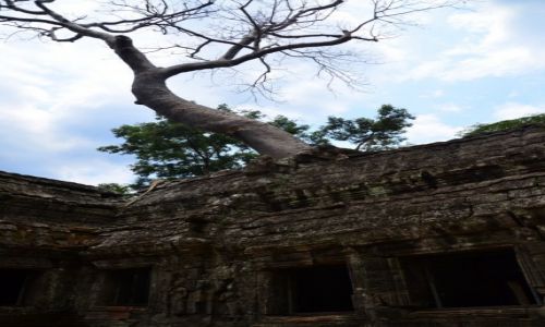 Zdjecie KAMBODA / Siem Reap / Angkor - Ta Prohm / w krainie Khmerw...