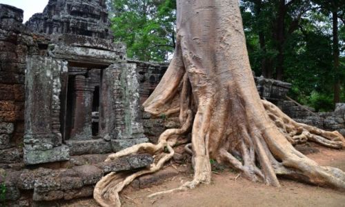 Zdjecie KAMBODA / Siem Reap / Angkor / w krainie Khmerw...