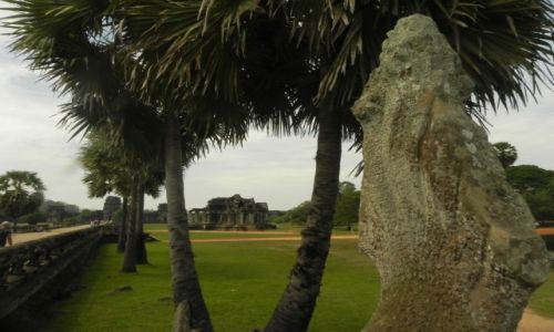 Zdjcie KAMBODA / angkor wat / .. / wiatynia