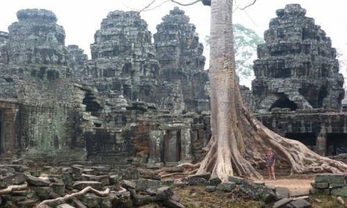 Zdjecie KAMBODA / Siem Reap / Angkor / Wok Angkor Wat