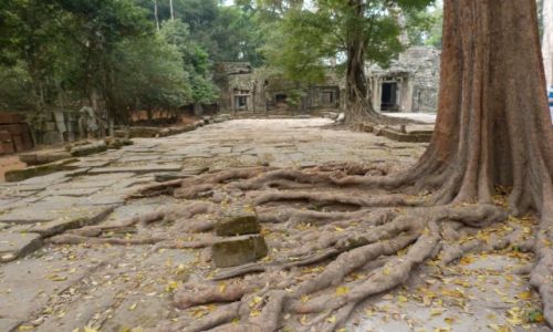 Zdjcie KAMBODA / Siem Reap / Angkor / Wok Angkor Wat