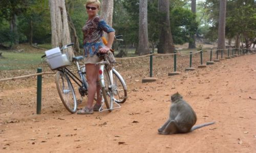 Zdjecie KAMBODA / Siem Reap / Angkor / Wok Angkor Wat
