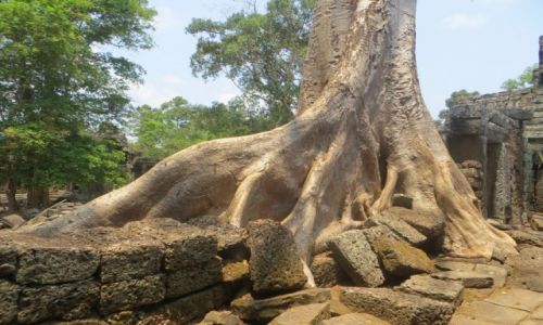 Zdjecie KAMBODA / ... / Angkor / ..