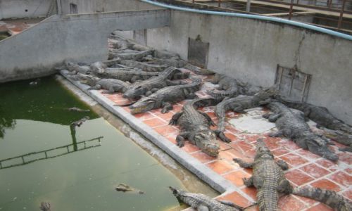 Zdjecie KAMBODA / Prowincja Battambang / Battambang  / Szczere umiechy:)