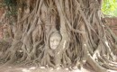 Zdjecie TAJLANDIA / Ayutthaya / Wat Mahathat / Gowa Buddy