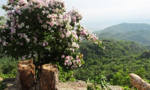 Zdjęcie KAMBODżA / Takeo / Kirivong / Phnom Bayong