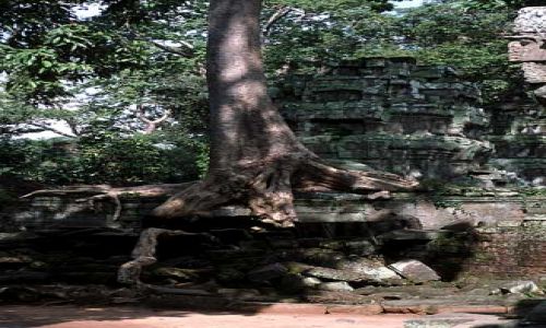 Zdjęcie KAMBODżA / SIEM REAP / ANKHOR WAT / W KRAINIE CZARÓW  6