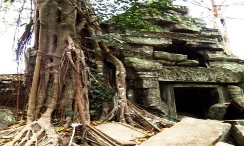 Zdjecie KAMBODA / Angkor / okolice Siem Reap / witynia Ta Prohm