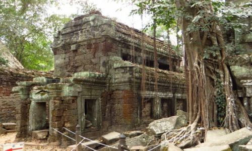 Zdjcie KAMBODA / Angkor / okolice Siem Reap / witynia Ta Prohm