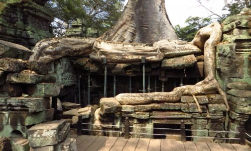 Zdjcie KAMBODA / Angkor / okolice Siem Reap / witynia Ta Prohm