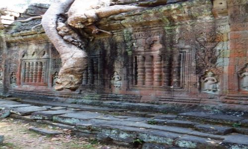 Zdjcie KAMBODA / Angkor / okolice Siem Reap / witynia Prah Khan