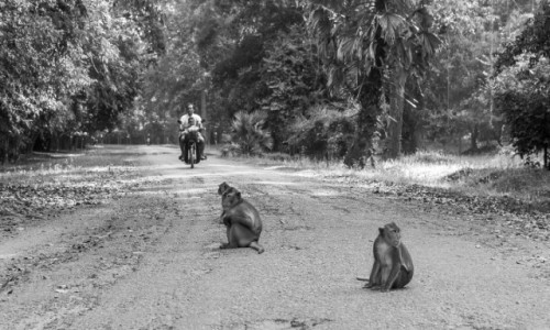 Zdjecie KAMBODA / Siem Reap / Angkor Wat / Mapy na przystanku