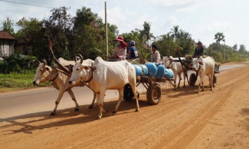 Zdjęcie KAMBODżA / Angkor Wat / w drodze do Angkor Wat / W drodze