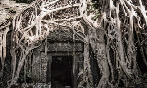 Zdjecie KAMBODA / Siem reap / Angkor wat / Tajemne wejcie