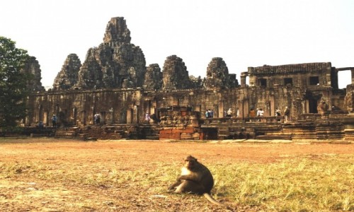 Zdjecie KAMBODA / - / Angkor / Angkor Cambodia