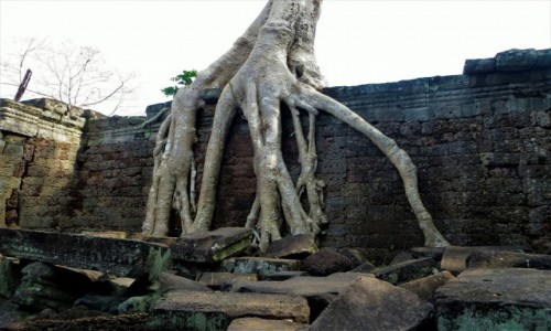 Zdjęcie KAMBODżA / Siem Reap / Preah Khan / Angkor