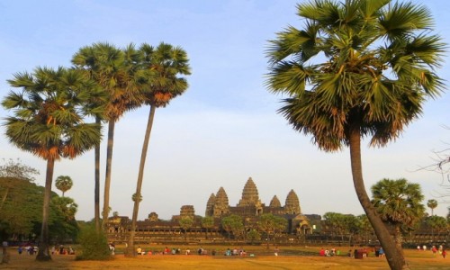 Zdjcie KAMBODA / Prowincja Siem Reap / Angkor Wat / Za palmami