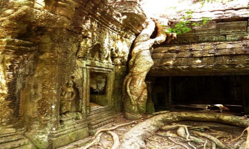 Zdjecie KAMBODA / Angkor / okolice Siem Reap / witynia Ta Prohm - walka z przyrod