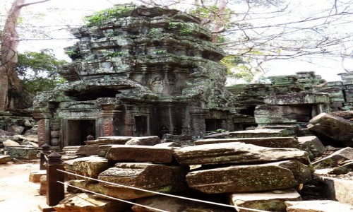 Zdjcie KAMBODA / Angkor / okolice Siem Reap / witynia Ta Prohm
