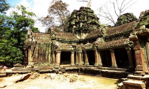 Zdjcie KAMBODA / Angkor / okolice Siem Reap / witynia Ta Prohm