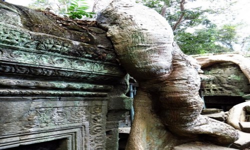 Zdjcie KAMBODA / Angkor / okolice Siem Reap / witynia Ta Prohm - walka z przyrod
