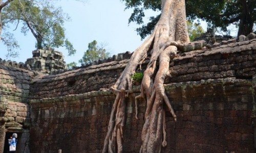 Zdjecie KAMBODA / Siem Reap / Ankor Wat / Ankor Wat