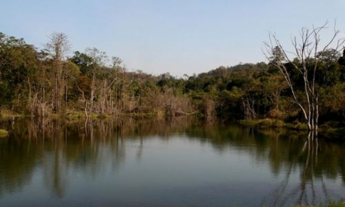Zdjcie KAMBODA / brak / Mondulkiri / Mondulkiri