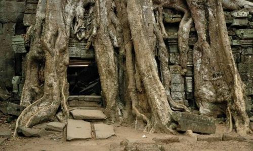 Zdjęcie KAMBODżA / brak / Angkor k/Siem Reap / Świątynie Angkoru