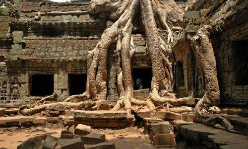 Zdjęcie KAMBODżA / brak / Angkor k/Siem Reap / Świątynie Angkoru