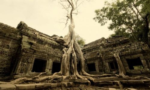 Zdjcie KAMBODA / Siem Reap / Siem Reap   ANGKOR WAT / Fotka 01