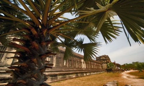 Zdjecie KAMBODA / brak / ANGOR wAT / ANGOR WAT 3
