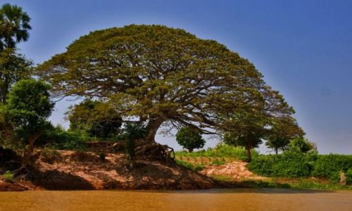 Zdjecie KAMBODA / brak / jEZIORO  TONIE SAP / * * *
